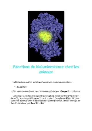 Fonctions de bioluminescence chez les
                 animaux

 La bioluminescence est utilisée pas les animaux pour plusieurs raisons.

       La défense

- Des méduses et étoiles de mer émettent des éclairs pour effrayer des prédateurs.

 - Certains poissons-lanternes agitent le photophore présent sur leur crête dorsale
lorsqu'il y a un danger (Photo A). Un petit crustacé, l'oplophorus (Photo B), éjecte
dans l'eau de la luciférine et de la luciférase qui réagissent en formant un nuage de
lumière dans l'eau pour faire diversion
 