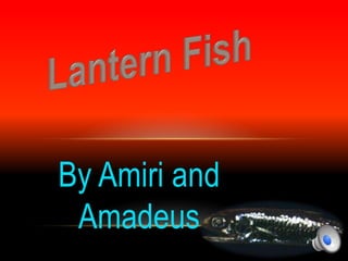 By Amiri and
 Amadeus
 