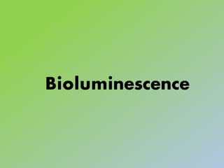 Bioluminescence
 