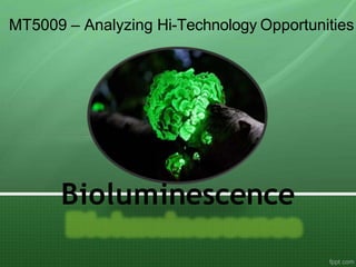 Bioluminescence
MT5009 – Analyzing Hi-Technology Opportunities
 