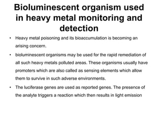 Bioluminescent organism used 
in heavy metal monitoring and 
detection 
• Heavy metal poisoning and its bioaccumulation is becoming an 
arising concern. 
• bioluminescent organisms may be used for the rapid remediation of 
all such heavy metals polluted areas. These organisms usually have 
promoters which are also called as sensing elements which allow 
them to survive in such adverse environments. 
• The luciferase genes are used as reported genes. The presence of 
the analyte triggers a reaction which then results in light emission 
 