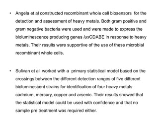• Angela et al constructed recombinant whole cell biosensors for the 
detection and assessment of heavy metals. Both gram positive and 
gram negative bacteria were used and were made to express the 
bioluminescence producing genes luxCDABE in response to heavy 
metals. Their results were supportive of the use of these microbial 
recombinant whole cells. 
• Sulivan et al worked with a primary statistical model based on the 
crossings between the different detection ranges of five different 
bioluminescent strains for identification of four heavy metals 
cadmium, mercury, copper and arsenic. Their results showed that 
the statistical model could be used with confidence and that no 
sample pre treatment was required either. 
 