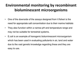 Environmental monitoring by recombinant 
bioluminescent microorganisms 
• One of the downside of the assays designed from V.fisheri is the 
need for appropriate salt concentration due to their marine habitats 
• They also function within a narrow pH and temperature range and 
may not be suitable for terrestrial systems. 
• E.coli is an example of transgenic bioluminescent microorganism 
which has been used in evaluating pollutants in air, land and water 
due to the vast genetic knowledge regarding these and they are 
easy to use. 
 