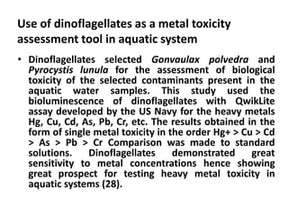 Use of dinoflagellates as a metal toxicity 
assessment tool in aquatic system 
• Dinoflagellates selected Gonvaulax polvedra and 
Pyrocystis lunula for the assessment of biological 
toxicity of the selected contaminants present in the 
aquatic water samples. This study used the 
bioluminescence of dinoflagellates with QwikLite 
assay developed by the US Navy for the heavy metals 
Hg, Cu, Cd, As, Pb, Cr, etc. The results obtained in the 
form of single metal toxicity in the order Hg+ > Cu > Cd 
> As > Pb > Cr Comparison was made to standard 
solutions. Dinoflagellates demonstrated great 
sensitivity to metal concentrations hence showing 
great prospect for testing heavy metal toxicity in 
aquatic systems (28). 
 