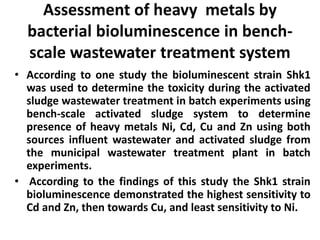 Assessment of heavy metals by 
bacterial bioluminescence in bench-scale 
wastewater treatment system 
• According to one study the bioluminescent strain Shk1 
was used to determine the toxicity during the activated 
sludge wastewater treatment in batch experiments using 
bench-scale activated sludge system to determine 
presence of heavy metals Ni, Cd, Cu and Zn using both 
sources influent wastewater and activated sludge from 
the municipal wastewater treatment plant in batch 
experiments. 
• According to the findings of this study the Shk1 strain 
bioluminescence demonstrated the highest sensitivity to 
Cd and Zn, then towards Cu, and least sensitivity to Ni. 
 