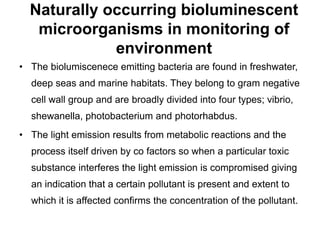 Naturally occurring bioluminescent 
microorganisms in monitoring of 
environment 
• The biolumiscenece emitting bacteria are found in freshwater, 
deep seas and marine habitats. They belong to gram negative 
cell wall group and are broadly divided into four types; vibrio, 
shewanella, photobacterium and photorhabdus. 
• The light emission results from metabolic reactions and the 
process itself driven by co factors so when a particular toxic 
substance interferes the light emission is compromised giving 
an indication that a certain pollutant is present and extent to 
which it is affected confirms the concentration of the pollutant. 
 