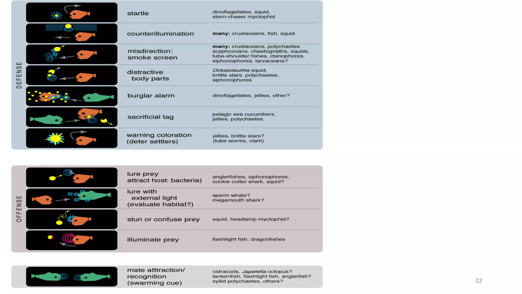 Bioluminescence | PPT