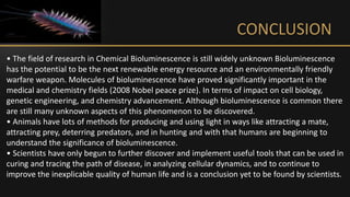 CONCLUSION
• The field of research in Chemical Bioluminescence is still widely unknown Bioluminescence
has the potential to be the next renewable energy resource and an environmentally friendly
warfare weapon. Molecules of bioluminescence have proved significantly important in the
medical and chemistry fields (2008 Nobel peace prize). In terms of impact on cell biology,
genetic engineering, and chemistry advancement. Although bioluminescence is common there
are still many unknown aspects of this phenomenon to be discovered.
• Animals have lots of methods for producing and using light in ways like attracting a mate,
attracting prey, deterring predators, and in hunting and with that humans are beginning to
understand the significance of bioluminescence.
• Scientists have only begun to further discover and implement useful tools that can be used in
curing and tracing the path of disease, in analyzing cellular dynamics, and to continue to
improve the inexplicable quality of human life and is a conclusion yet to be found by scientists.
 