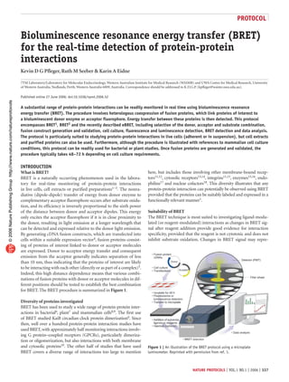 NATURE PROTOCOLS | VOL.1 NO.1 | 2006 | 337
PROTOCOL
INTRODUCTION
What is BRET?
BRET is a naturally occurring phenomenon used in the labora-
tory for real-time monitoring of protein-protein interactions
in live cells, cell extracts or purified preparations1−3. The nonra-
diative (dipole-dipole) transfer of energy from donor enzyme to
complementary acceptor fluorophore occurs after substrate oxida-
tion, and its efficiency is inversely proportional to the sixth power
of the distance between donor and acceptor dipoles. This energy
only excites the acceptor fluorophore if it is in close proximity to
the donor, resulting in light emission at a longer wavelength that
can be detected and expressed relative to the donor light emission.
By generating cDNA fusion constructs, which are transfected into
cells within a suitable expression vector4, fusion proteins consist-
ing of proteins of interest linked to donor or acceptor molecules
are expressed. Donor to acceptor energy transfer and consequent
emission from the acceptor generally indicates separation of less
than 10 nm, thus indicating that the proteins of interest are likely
to be interacting with each other (directly or as part of a complex)5.
Indeed, this high distance dependence means that various combi-
nations of fusion proteins with donor or acceptor molecules in dif-
ferent positions should be tested to establish the best combination
for BRET. The BRET procedure is summarized in Figure 1.
Diversity of proteins investigated
BRET has been used to study a wide range of protein-protein inter-
actions in bacterial6, plant7 and mammalian cells8,9. The first use
of BRET studied KaiB circadian clock protein dimerization6. Since
then, well over a hundred protein-protein interaction studies have
used BRET,with approximately half monitoring interactions involv-
ing G protein−coupled receptors (GPCRs), particularly dimeriza-
tion or oligomerization, but also interactions with both membrane
and cytosolic proteins10. The other half of studies that have used
BRET covers a diverse range of interactions too large to mention
here, but includes those involving other membrane-bound recep-
tors11,12, cytosolic receptors13,14, integrins11,15, enzymes15,16, endo-
philins17 and nuclear cofactors18. This diversity illustrates that any
protein-protein interaction can potentially be observed using BRET
provided that the proteins can be suitably labeled and expressed in a
functionally relevant manner1.
Suitability of BRET
The BRET technique is most suited to investigating ligand-modu-
lated (or reagent-modulated) interactions as changes in BRET sig-
nal after reagent addition provide good evidence for interaction
specificity, provided that the reagent is not cytotoxic and does not
inhibit substrate oxidation. Changes in BRET signal may repre-
Bioluminescence resonance energy transfer (BRET)
for the real-time detection of protein-protein
interactions
Kevin D G Pfleger, Ruth M Seeber & Karin A Eidne
7TM Laboratory/Laboratory for Molecular Endocrinology, Western Australian Institute for Medical Research (WAIMR) and UWA Centre for Medical Research, University
of Western Australia, Nedlands, Perth, Western Australia 6009, Australia. Correspondence should be addressed to K.D.G.P. (kpfleger@waimr.uwa.edu.au).
Published online 27 June 2006; doi:10.1038/nprot.2006.52
A substantial range of protein-protein interactions can be readily monitored in real time using bioluminescence resonance
energy transfer (BRET). The procedure involves heterologous coexpression of fusion proteins, which link proteins of interest to
a bioluminescent donor enzyme or acceptor fluorophore. Energy transfer between these proteins is then detected. This protocol
encompasses BRET1, BRET2 and the recently described eBRET, including selection of the donor, acceptor and substrate combination,
fusion construct generation and validation, cell culture, fluorescence and luminescence detection, BRET detection and data analysis.
The protocol is particularly suited to studying protein-protein interactions in live cells (adherent or in suspension), but cell extracts
and purified proteins can also be used. Furthermore, although the procedure is illustrated with references to mammalian cell culture
conditions, this protocol can be readily used for bacterial or plant studies. Once fusion proteins are generated and validated, the
procedure typically takes 48–72 h depending on cell culture requirements.
Figure 1 | An illustration of the BRET protocol using a microplate
luminometer. Reprinted with permission from ref. 1.
©
2006
Nature
Publishing
Group
http://www.nature.com/natureprotocols
 