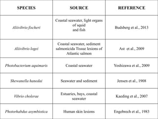 SPECIES SOURCE REFERENCE
Aliivibrio fischeri
Coastal seawater, light organs
of squid
and fish
Budsberg et al., 2013
Aliivibrio logei
Coastal seawater, sediment
salmonicida Tissue lesions of
Atlantic salmon
Ast et al., 2009
Photobacterium aquimaris Coastal seawater Yoshizawa et al., 2009
Shewanella hanedai Seawater and sediment Jensen et al., 1908
Vibrio cholerae
Estuaries, bays, coastal
seawater
Kaeding et al., 2007
Photorhabdus asymbiotica Human skin lesions Engebrech et al., 1983
 