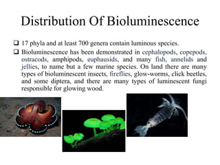 Distribution Of Bioluminescence
 17 phyla and at least 700 genera contain luminous species.
 Bioluminescence has been demonstrated in cephalopods, copepods,
ostracods, amphipods, euphausids, and many fish, annelids and
jellies, to name but a few marine species. On land there are many
types of bioluminescent insects, fireflies, glow-worms, click beetles,
and some diptera, and there are many types of luminescent fungi
responsible for glowing wood.
 