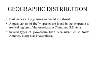 GEOGRAPHIC DISTRIBUTION
• Bioluminescent organisms are found world-wide
• A great variety of firefly species are found in the temperate to
tropical regions of the Americas, in China, and S.E. Asia.
• Several types of glow-worm have been identified in North
America, Europe, and Australasia.
 