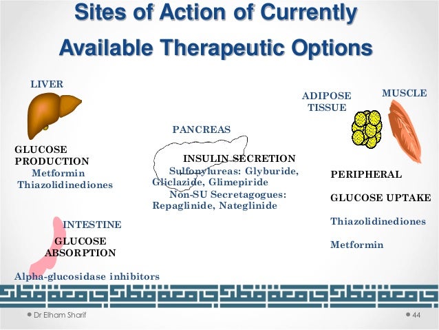Unit 7 : Carbohydrates metabolism & disorders
