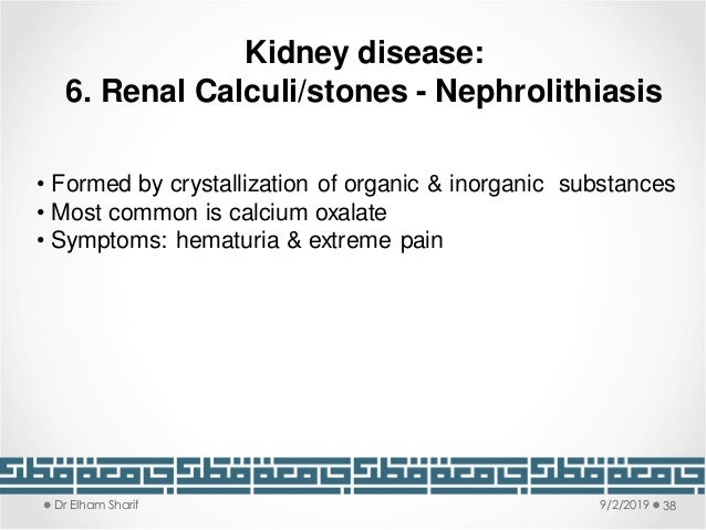 Unit 8 Kidney Functions And Disorders