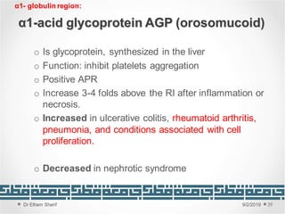 Unit 2: Proteins, abnormalities and methods of proteins investigation | PDF
