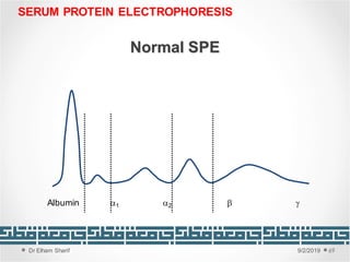 Unit 2: Proteins, abnormalities and methods of proteins investigation | PDF