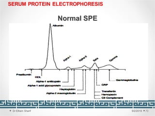 Unit 2: Proteins, abnormalities and methods of proteins investigation | PDF