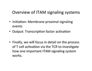 Overview	
  of	
  ITAM	
  signaling	
  systems 	
  	
  
•  Ini&a&on:	
  Membrane	
  proximal	
  signaling	
  
events	
  
•  Output:	
  Transcrip&on	
  factor	
  ac&va&on	
  
•  Finally,	
  we	
  will	
  focus	
  in	
  detail	
  on	
  the	
  process	
  
of	
  T	
  cell	
  ac&va&on	
  via	
  the	
  TCR	
  to	
  inves&gate	
  
how	
  one	
  important	
  ITAM	
  signaling	
  system	
  
works.	
  
 