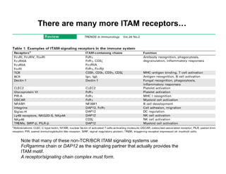 There are many more ITAM receptors…
Note that many of these non-TCR/BCR ITAM signaling systems use
FcRgamma chain or DAP12 as the signaling partner that actually provides the
ITAM motif.
A receptor/signaling chain complex must form.
 