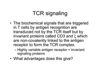 TCR signaling
•  The biochemical signals that are triggered
in T cells by antigen recognition are
transduced not by the TCR itself but by
invariant proteins called CD3 and ζ which
are non-covalently linked to the antigen
receptor to form the TCR complex.
– Highly variable antigen receptor + invariant
signaling proteins
•  What advantages does this give?
 