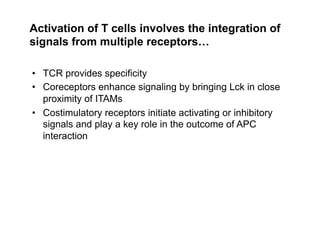 •  TCR provides specificity
•  Coreceptors enhance signaling by bringing Lck in close
proximity of ITAMs
•  Costimulatory receptors initiate activating or inhibitory
signals and play a key role in the outcome of APC
interaction
Activation of T cells involves the integration of
signals from multiple receptors…
 