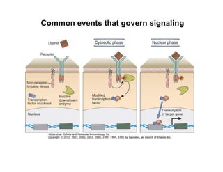 Common events that govern signaling
 