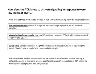 How	
  does	
  the	
  TCR	
  know	
  to	
  acAvate	
  signaling	
  in	
  response	
  to	
  very	
  
low	
  levels	
  of	
  pMHC?	
  
Pseudodimer	
  model:	
  dimers	
  of	
  congnate	
  and	
  non-­‐congate	
  pep&de	
  pMHC	
  promote	
  
signaling	
  
Molecular	
  MechanotransducAon:	
  pMHC	
  applies	
  a	
  torque	
  to	
  TCRαβ,	
  which	
  is	
  transmieed	
  
to	
  CD3εγ	
  and	
  CD3εδ	

Dwell	
  Time:	
  What	
  determines	
  if	
  a	
  pMHC-­‐TCR	
  interac&on	
  is	
  s&mulatory	
  is	
  how	
  long	
  the	
  
pMHC	
  “dwells”	
  near	
  a	
  single	
  TCR,	
  repe&&vely	
  binding	
  it.	

We’ll	
  look	
  at	
  three	
  mechanis&c	
  models	
  of	
  TCR	
  s&mula&on	
  arising	
  from	
  the	
  recent	
  literature.	
  
Note	
  that	
  these	
  models	
  are	
  not	
  mutually	
  exclusive	
  alterna&ves	
  but	
  may	
  be	
  looking	
  at	
  
diﬀerent	
  aspects	
  of	
  the	
  same	
  process	
  as	
  diﬀerent	
  research	
  groups	
  look	
  at	
  TCR	
  triggering	
  
from	
  diverse	
  backgrounds	
  and	
  perspec&ves.	
  
 