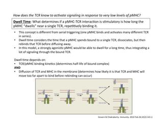 How	
  does	
  the	
  TCR	
  know	
  to	
  ac8vate	
  signaling	
  in	
  response	
  to	
  very	
  low	
  levels	
  of	
  pMHC?	
  
Dwell	
  Time:	
  What	
  determines	
  if	
  a	
  pMHC-­‐TCR	
  interac&on	
  is	
  s&mulatory	
  is	
  how	
  long	
  the	
  
pMHC	
  “dwells”	
  near	
  a	
  single	
  TCR,	
  repe&&vely	
  binding	
  it.	

•  This	
  concept	
  is	
  diﬀerent	
  from	
  serial	
  triggering	
  (one	
  pMHC	
  binds	
  and	
  ac&vates	
  many	
  diﬀerent	
  TCR	
  
in	
  series).	
  
•  Dwell	
  &me	
  considers	
  the	
  &me	
  that	
  a	
  pMHC	
  spends	
  bound	
  to	
  a	
  single	
  TCR,	
  dissociates,	
  but	
  then	
  
rebinds	
  that	
  TCR	
  before	
  diﬀusing	
  away.	
  	
  
•  In	
  this	
  model,	
  a	
  strongly	
  agonis&c	
  pMHC	
  would	
  be	
  able	
  to	
  dwell	
  for	
  a	
  long	
  &me,	
  thus	
  integra&ng	
  a	
  
lot	
  of	
  signaling	
  through	
  the	
  bound	
  TCR.	
  
	
  
Dwell	
  &me	
  depends	
  on:	
  	
  
•  TCR/pMHC	
  binding	
  kine&cs	
  (determines	
  half-­‐life	
  of	
  bound	
  complex)	
  	
  
AND	
  	
  
•  Diﬀusion	
  of	
  TCR	
  and	
  MHC	
  in	
  the	
  membrane	
  (determines	
  how	
  likely	
  it	
  is	
  that	
  TCR	
  and	
  MHC	
  will	
  
move	
  too	
  far	
  apart	
  to	
  bind	
  before	
  rebinding	
  can	
  occur)	
  
Govern	
  &	
  Chakraborty.	
  Immunity.	
  2010	
  Feb	
  26;32(2):141-­‐2.	
  
 