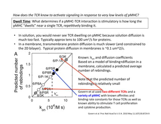 How	
  does	
  the	
  TCR	
  know	
  to	
  ac8vate	
  signaling	
  in	
  response	
  to	
  very	
  low	
  levels	
  of	
  pMHC?	
  
Dwell	
  Time:	
  What	
  determines	
  if	
  a	
  pMHC-­‐TCR	
  interac&on	
  is	
  s&mulatory	
  is	
  how	
  long	
  the	
  
pMHC	
  “dwells”	
  near	
  a	
  single	
  TCR,	
  repe&&vely	
  binding	
  it.	

•  In	
  solu&on,	
  you	
  would	
  never	
  see	
  TCR	
  dwelling	
  on	
  pMHC	
  because	
  solu&on	
  diﬀusion	
  is	
  
much	
  too	
  fast.	
  Typically	
  approx	
  tens	
  to	
  100	
  um2/s	
  for	
  proteins.	
  
•  In	
  a	
  membrane,	
  transmembrane	
  protein	
  diﬀusion	
  is	
  much	
  slower	
  (and	
  constrained	
  to	
  
the	
  2D	
  bilayer).	
  	
  Typical	
  protein	
  diﬀusion	
  in	
  membranes	
  is	
  ~0.1	
  um^2/s.	
  
	
   Known:	
  kon	
  and	
  diﬀusion	
  coeﬃcients	
  
Based	
  on	
  a	
  model	
  of	
  binding+diﬀusion	
  in	
  a	
  
membrane,	
  calculated	
  a	
  predicted	
  average	
  
number	
  of	
  rebindings.	
  
	
  
Note	
  that	
  the	
  predicted	
  number	
  of	
  
rebindings	
  is	
  rela&vely	
  small	
  
	
  
Govern	
  et	
  al	
  used	
  two	
  diﬀerent	
  TCRs	
  and	
  a	
  
variety	
  of	
  pMHC	
  with	
  known	
  aﬃni&es	
  and	
  
binding	
  rate	
  constants	
  for	
  those	
  TCRs	
  as	
  well	
  as	
  
known	
  ability	
  to	
  s&mulate	
  T	
  cell	
  prolifera&on	
  
and	
  cytokine	
  produc&on.	
  
Govern	
  et	
  al.	
  Proc	
  Natl	
  Acad	
  Sci	
  U	
  S	
  A.	
  2010	
  May	
  11;107(19):8724-­‐9.	
  
 