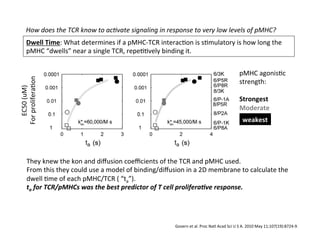 How	
  does	
  the	
  TCR	
  know	
  to	
  ac8vate	
  signaling	
  in	
  response	
  to	
  very	
  low	
  levels	
  of	
  pMHC?	
  
Dwell	
  Time:	
  What	
  determines	
  if	
  a	
  pMHC-­‐TCR	
  interac&on	
  is	
  s&mulatory	
  is	
  how	
  long	
  the	
  
pMHC	
  “dwells”	
  near	
  a	
  single	
  TCR,	
  repe&&vely	
  binding	
  it.	

Govern	
  et	
  al.	
  Proc	
  Natl	
  Acad	
  Sci	
  U	
  S	
  A.	
  2010	
  May	
  11;107(19):8724-­‐9.	
  
They	
  knew	
  the	
  kon	
  and	
  diﬀusion	
  coeﬃcients	
  of	
  the	
  TCR	
  and	
  pMHC	
  used.	
  	
  	
  
From	
  this	
  they	
  could	
  use	
  a	
  model	
  of	
  binding/diﬀusion	
  in	
  a	
  2D	
  membrane	
  to	
  calculate	
  the	
  
dwell	
  &me	
  of	
  each	
  pMHC/TCR	
  (	
  “ta”).	
  
ta	
  for	
  TCR/pMHCs	
  was	
  the	
  best	
  predictor	
  of	
  T	
  cell	
  prolifera)ve	
  response.	
  
EC50	
  (uM)	
  
For	
  prolifera&on	
  
pMHC	
  agonis&c	
  
strength:	
  
	
  
Strongest	
  
Moderate	
  
weakest	
  
 