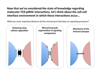 Now	
  that	
  we’ve	
  considered	
  the	
  state	
  of	
  knowledge	
  regarding	
  
molecular	
  TCR-­‐pMHC	
  interacAons,	
  let’s	
  think	
  about	
  the	
  cell-­‐cell	
  
interface	
  environment	
  in	
  which	
  these	
  interacAons	
  occur…	
  
	
  
What	
  are	
  some	
  important	
  features	
  of	
  this	
  environment	
  that	
  bear	
  on	
  signaling	
  processes?	
  
Achieving	
  close	
  
cellular	
  apposiAon	
  
Micro/nanoscale	
  
organizaAon	
  of	
  signaling	
  
components	
  
Mechanics	
  of	
  the	
  
Immune	
  Synapse	
  
 