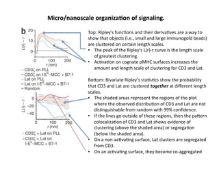 Micro/nanoscale	
  organizaAon	
  of	
  signaling.	
  
Top:	
  Ripley’s	
  func&ons	
  and	
  their	
  deriva&ves	
  are	
  a	
  way	
  to	
  
show	
  that	
  objects	
  (i.e.,	
  small	
  and	
  large	
  immunogold	
  beads)	
  
are	
  clustered	
  on	
  certain	
  length	
  scales.	
  	
  
•  The	
  peak	
  of	
  the	
  Ripley’s	
  L(r)-­‐r	
  curve	
  is	
  the	
  length	
  scale	
  
of	
  greatest	
  clustering.	
  
•  Ac&va&on	
  on	
  cognate	
  pMHC	
  surfaces	
  increases	
  the	
  
amount	
  and	
  length	
  scale	
  of	
  clustering	
  for	
  CD3	
  and	
  Lat.	
  
	
  
Boeom:	
  Bivariate	
  Ripley’s	
  sta&s&cs	
  show	
  the	
  probability	
  
that	
  CD3	
  and	
  Lat	
  are	
  clustered	
  together	
  at	
  diﬀerent	
  length	
  
scales.	
  
•  The	
  shaded	
  areas	
  represent	
  the	
  regions	
  of	
  the	
  plot	
  
where	
  the	
  observed	
  distribu&on	
  of	
  CD3	
  and	
  Lat	
  are	
  not	
  
dis&nguishable	
  from	
  random	
  with	
  99%	
  conﬁdence.	
  	
  
•  If	
  the	
  lines	
  go	
  outside	
  of	
  these	
  regions,	
  then	
  the	
  paeern	
  
colocaliza&on	
  of	
  CD3	
  and	
  Lat	
  shows	
  evidence	
  of	
  
clustering	
  (above	
  the	
  shaded	
  area)	
  or	
  segrega&on	
  
(below	
  the	
  shaded	
  area).	
  	
  
•  On	
  a	
  non-­‐ac&va&ng	
  surface,	
  Lat	
  clusters	
  are	
  segregated	
  
from	
  CD3.	
  
•  On	
  an	
  ac&va&ng	
  surface,	
  they	
  become	
  co-­‐aggregated	
  
 