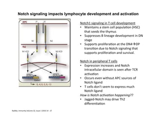 Radtke,	
  Immunity	
  Volume	
  32,	
  Issue	
  1	
  2010	
  14	
  -­‐	
  27	
  
Notch signaling impacts lymphocyte development and activation
Notch1	
  signaling	
  in	
  T	
  cell	
  development	
  
•  Maintains	
  a	
  stem	
  cell	
  popula&on	
  (HSC)	
  
that	
  seeds	
  the	
  thymus	
  
•  Suppresses	
  B	
  lineage	
  development	
  in	
  DN	
  
stage	
  
•  Supports	
  prolifera&on	
  at	
  the	
  DN4àDP	
  
transi&on	
  due	
  to	
  Notch	
  signaling	
  that	
  
supports	
  prolifera&on	
  and	
  survival.	
  
	
  
Notch	
  in	
  peripheral	
  T	
  cells	
  
•  Expression	
  increases	
  and	
  Notch	
  
intracellular	
  domain	
  is	
  seen	
  a€er	
  TCR	
  
ac&va&on	
  
•  Occurs	
  even	
  without	
  APC	
  sources	
  of	
  
Notch	
  ligand	
  
•  T	
  cells	
  don’t	
  seem	
  to	
  express	
  much	
  
Notch	
  ligand	
  
How	
  is	
  Notch	
  ac8va8on	
  happening??	
  
•  Jagged-­‐Notch	
  may	
  drive	
  Th2	
  
diﬀeren&a&on	
  
 
