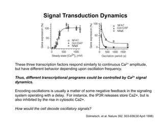 Signal Transduction Dynamics
Dolmetsch, et al. Nature 392, 933-936(30 April 1998)
These three transcription factors respond similarly to continuous Ca2+ amplitude,
but have different behavior depending upon oscillation frequency.
Thus, different transcriptional programs could be controlled by Ca2+ signal
dynamics.
Encoding oscillations is usually a matter of some negative feedback in the signaling
system operating with a delay. For instance, the IP3R releases store Ca2+, but is
also inhibited by the rise in cytosolic Ca2+.
How would the cell decode oscillatory signals?
 
