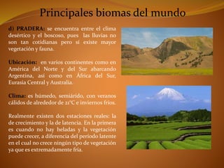 Principales biomas del mundo 
d) PRADERA: se encuentra entre el clima 
desértico y el boscoso, pues las lluvias no 
son tan cotidianas pero sí existe mayor 
vegetación y fauna. 
Ubicación: en varios continentes como en 
América del Norte y del Sur abarcando 
Argentina, así como en África del Sur, 
Eurasia Central y Australia. 
Clima: es húmedo, semiárido, con veranos 
cálidos de alrededor de 21°C e inviernos fríos. 
Realmente existen dos estaciones reales: la 
de crecimiento y la de latencia. En la primera 
es cuando no hay heladas y la vegetación 
puede crecer, a diferencia del período latente 
en el cual no crece ningún tipo de vegetación 
ya que es extremadamente fría. 
 