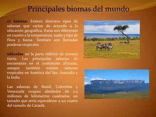 Principales biomas del mundo 
e) Sabána: Existen distintos tipos de 
sabanas que varían de acuerdo a la 
ubicación geográfica. Estas son diferentes 
en cuanto a la temperatura, suelo y tipo de 
flora y fauna. También son llamadas 
praderas tropicales 
ubicadas en la parte inferior de nuestra 
tierra. Las principales sabanas de 
encuentran en el continente africano, 
aunque también existen sabanas 
tropicales en América del Sur, Australia y 
la India. 
Las sabanas de Brasil, Colombia y 
Venezuela ocupan alrededor de 2.5 
millones de kilómetros cuadrados, un 
tamaño que sería equivalente a un cuarto 
del tamaño de Canadá. 
 