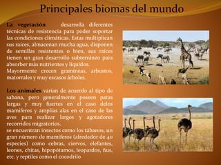 Principales biomas del mundo 
La vegetación desarrolla diferentes 
técnicas de resistencia para poder soportar 
las condiciones climáticas. Estas multiplican 
sus raíces, almacenan mucha agua, disponen 
de semillas resistentes o bien, sus raíces 
tienen un gran desarrollo subterráneo para 
absorber más nutrientes y líquidos. 
Mayormente crecen gramíneas, arbustos, 
matorrales y muy escasos árboles. 
Los animales varían de acuerdo al tipo de 
sabana, pero generalmente poseen patas 
largas y muy fuertes en el caso delos 
mamíferos y amplias alas en el caso de las 
aves para realizar largos y agotadores 
recorridos migratorios. 
se encuentran insectos como los tábanos, un 
gran número de mamíferos (alrededor de 40 
especies) como cebras, ciervos, elefantes, 
leones, chitas, hipopótamos, leopardos, ñus, 
etc. y reptiles como el cocodrilo 
 