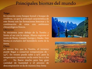 Principales biomas del mundo 
Taiga: 
Es conocida como bosque boreal o bosque de 
coníferas, ya que la principal característica de 
este bioma son las formaciones boscosas y la 
combinación de estas con ambientes 
climatológicos frescos. 
Ubicación: 
Se encuentra justo debajo de la Tundra y 
limita al sur con la estepa. Abarca regiones al 
norte de Rusia, Canadá, Europa y Alaska. Este 
bioma es exclusivo del hemisferio norte de la 
tierra 
Clima: 
es menos frío que la Tundra, el invierno 
puede llegar a conservar temperaturas de - 
54°C. En verano puede subir a 19°C pero la 
temperatura constante oscila entre los 0 a los 
5°C. No llueve mucho pero hay gran 
cantidad de humedad y el proceso de 
descomposición se da de manera muy lenta 
 
