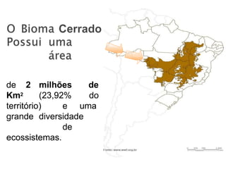 15
de 2 milhões de
Km2 (23,92% do
território) e uma
grande diversidade
de
ecossistemas.
 