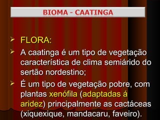    FLORA:
 A caatinga é um tipo de vegetação
  característica de clima semiárido do
  sertão nordestino;
 É um tipo de vegetação pobre, com
  plantas xenófila (adaptadas á
  aridez) principalmente as cactáceas
  (xiquexique, mandacaru, faveiro).
 