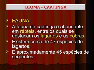    FAUNA:
 A fauna da caatinga é abundante
  em répteis, entre os quais se
  destacam os lagartos e as cobras.
 Existem cerca de 47 espécies de
  lagartos.
 E aproximadamente 45 espécies de
  serpentes.
 