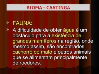    FAUNA:
   A dificuldade de obter água é um
    obstáculo para a existência de
    grandes mamíferos na região, onde
    mesmo assim, são encontrados
    cachorro do mato e outros animais
    que se alimentam principalmente
    de roedores.
 