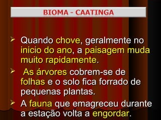    Quando chove, geralmente no
    inicio do ano, a paisagem muda
    muito rapidamente.
    As árvores cobrem-se de
    folhas e o solo fica forrado de
    pequenas plantas.
   A fauna que emagreceu durante
    a estação volta a engordar.
 
