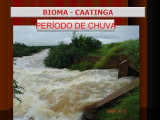 PERÍODO DE CHUVA
 