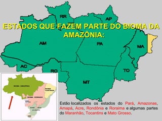 ESTADOS QUE FAZEM PARTE DO BIOMA DA
             AMAZÔNIA:




            Estão localizados  os  estados  do  Pará,  Amazonas, 
            Amapá,  Acre,  Rondônia  e  Roraima  e algumas  partes 
            do Maranhão, Tocantins e Mato Grosso.
 