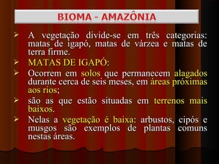    A vegetação divide-se em três categorias:
    matas de igapó, matas de várzea e matas de
    terra firme.
   MATAS DE IGAPÓ:
   Ocorrem em solos que permanecem alagados
    durante cerca de seis meses, em áreas próximas
    aos rios;
   são as que estão situadas em terrenos mais
    baixos.
   Nelas a vegetação é baixa: arbustos, cipós e
    musgos são exemplos de plantas comuns
    nestas áreas.
 