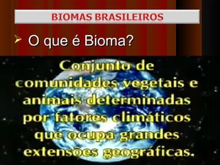    O que é Bioma?
 