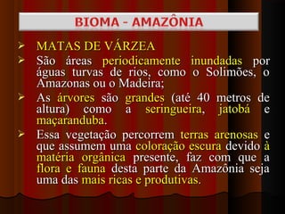 MATAS DE VÁRZEA
 São áreas periodicamente inundadas por
  águas turvas de rios, como o Solimões, o
  Amazonas ou o Madeira;
 As árvores são grandes (até 40 metros de
  altura) como a seringueira, jatobá e
  maçaranduba.
 Essa vegetação percorrem terras arenosas e
  que assumem uma coloração escura devido à
  matéria orgânica presente, faz com que a
  flora e fauna desta parte da Amazônia seja
  uma das mais ricas e produtivas.
 