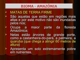    MATAS DE TERRA FIRME
   São aquelas que estão em regiões mais
    altas e por este motivo não são inundadas
    pelos rios;
   Ocupa a maior parte da floresta
    Amazônica;
   Nelas estão árvores de grande porte,
    como a castanheira-do-pará, a palmeira, a
    quaruba (que chega a atingir 60 metros de
    altura)
   Apresenta um solo extremamente pobre
    em nutrientes.
 