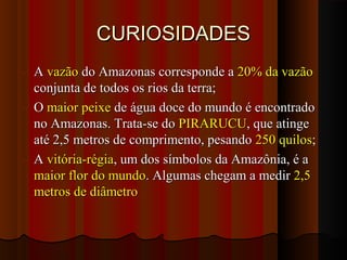 CURIOSIDADES
 A vazão do Amazonas corresponde a 20% da vazão
  conjunta de todos os rios da terra;
 O maior peixe de água doce do mundo é encontrado
  no Amazonas. Trata-se do PIRARUCU, que atinge
  até 2,5 metros de comprimento, pesando 250 quilos;
 A vitória-régia, um dos símbolos da Amazônia, é a
  maior flor do mundo. Algumas chegam a medir 2,5
  metros de diâmetro
 